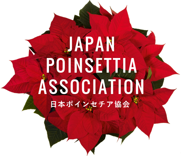 JAPAN POINSETTIA ASSOCIATION 日本ポインセチア協会